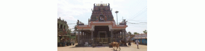 232. திருப்பாதிரிப் புலியூர்